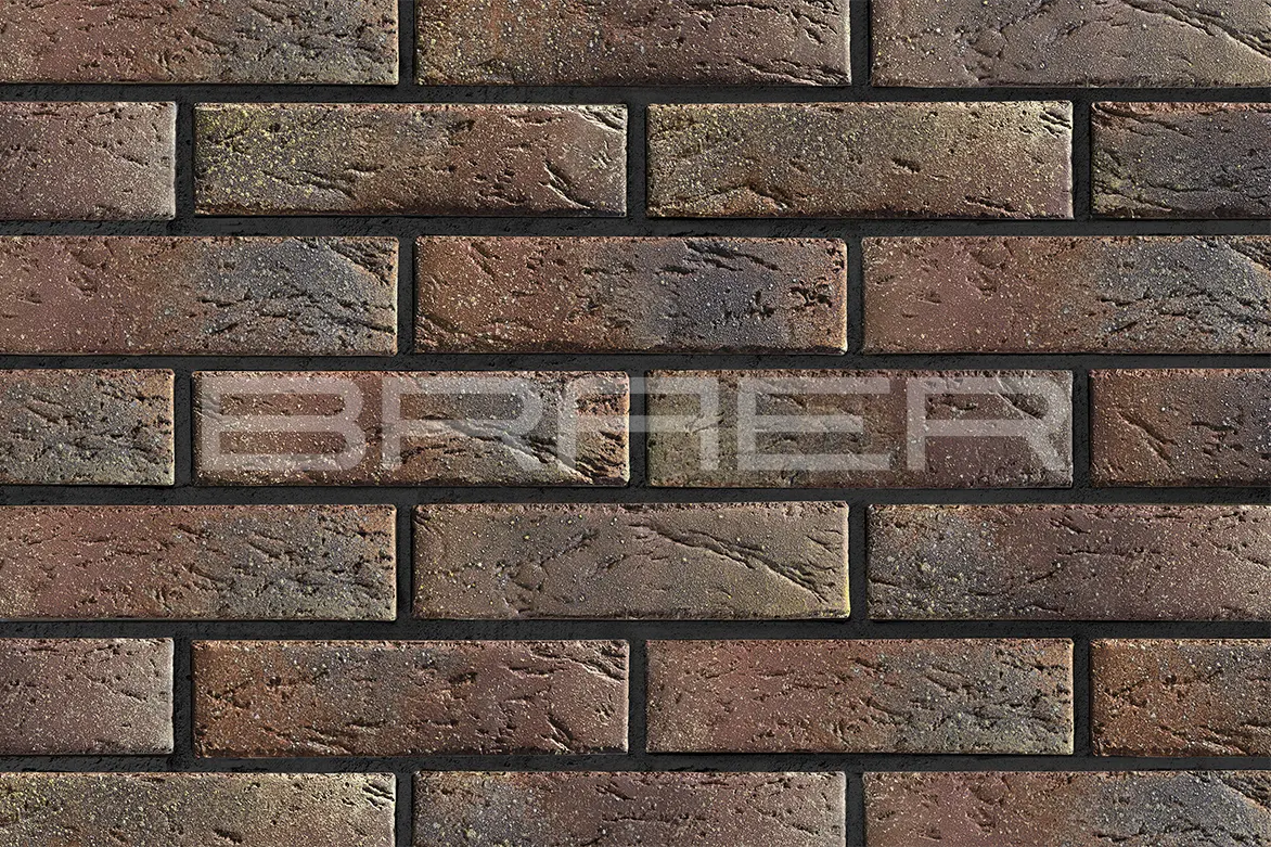 BRAER PRO 55.08.1 Braer по недорогой цене в Челябинске